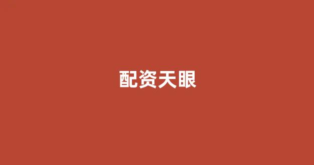 摆渡配资